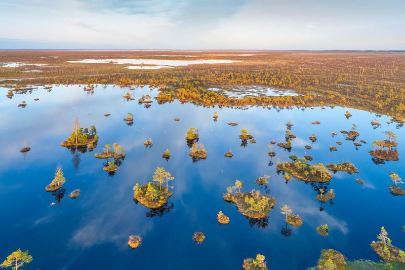 Болото Ельня © Виктор Малышчиц